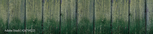 Panorama dark wooden green texture