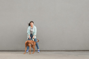 Wall Mural - Woman walking with a playful dog on the street, photo on the background of a gray wall. Owner with a brown young dog is isolated against the background of the wall. Copyspace