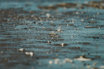 Wall Mural - Bubbles in water washing over a sandy beach