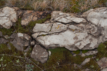 Rocky ground with moss