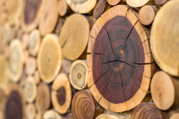 Wall Mural - Perspective view of round wooden unpainted solid natural ecological soft colored brown and yellow crackled stumps background, tree cut sections with annual rings different sizes,background texture.