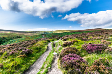 Haworth moor, Yorkshire