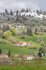 Wall Mural - Neige de printemps sur les Vosges