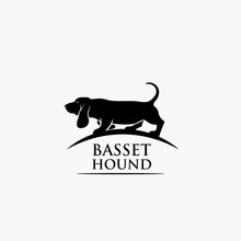 Basset Hound Dog 