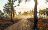 Fototapeta  - Long road in to the distance at sunset with light beams and smoke in luangwa Zambia Africa