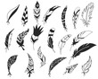 Rustic decorative feathers. Hand drawn vintage vector design set. Tribal Feathers. Ink illustration. Isolated on white background.