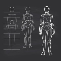 human figure