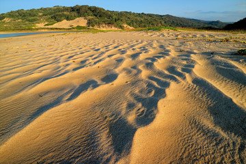 Wall Mural - Scenic beach early morning with wind-blown patterns in the sand, South Africa.