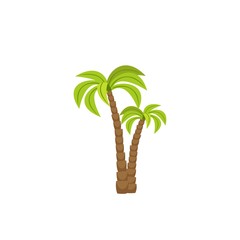 Wall Mural - tree palm isolated icon