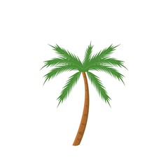 Wall Mural - tree palm isolated icon