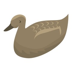 Wall Mural - Wild duck icon. Isometric of wild duck vector icon for web design isolated on white background