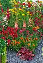 Colourful Garden Border With A Wonderful Display Of Herbaceous And Perennial Plants
