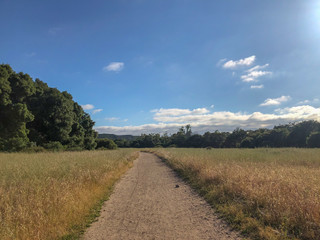 Poster - Natural green grass field in sunny day with dirt road pathway. Sandy road trail in green field. Spring season. Los Peñasquitos Canyon Preserve