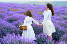 Girls Are In The Lavender Flower Field, Beautiful Summer Landscape