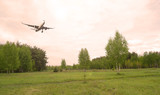 Fototapeta  - Airliner over a green field and forest. Sunset.