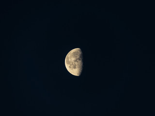 Wall Mural - last quarter moon