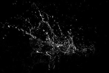 splash of water. isolate on black background