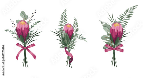 Flowers set. Colorful floral collection with leaves and flowers. Protea Flowe...