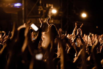 Wall Mural - Large group of people clapping hands on music concert.