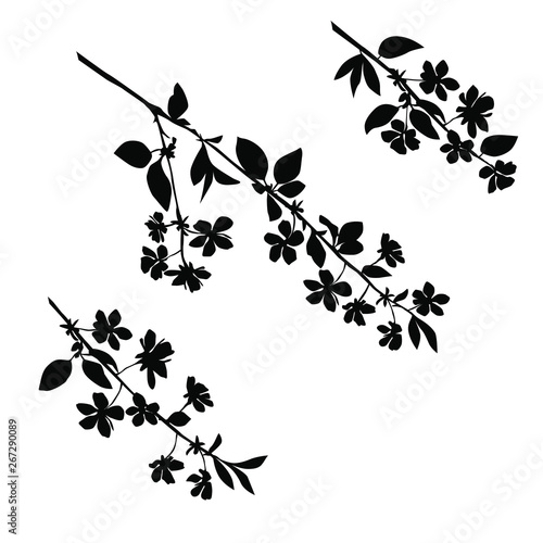 Silhouette Of Apple Or Cherry Flower With Leaf Branch Blossom Vector Black Color Isolated On White Background Buy This Stock Vector And Explore Similar Vectors At Adobe Stock Adobe Stock