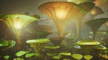 Fantasy Mushrooms In A Magic Forest. Beautiful Magic Mushrooms In The Lost Forest And Fireflies On The Background With The Fog. 3D Rendering