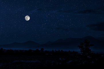 Wall Mural - mountain road through the forest on a full moon night. scenic night landscape of country road at nig