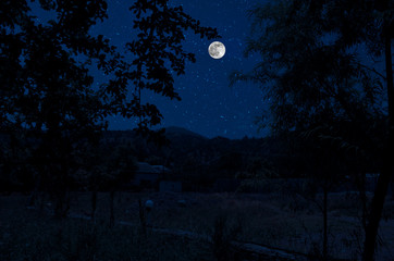 Wall Mural - mountain road through the forest on a full moon night. scenic night landscape of country road at nig