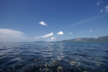 Wall Mural - Idyllic crystal seawater in front of luxury hotel, attractive clear sea, nature coastline backgrounds during holidays, wave from clear blue green sea and fine sand