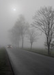 Auto na drodze rano we mgle.