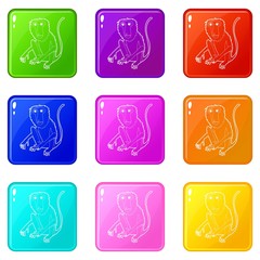 Wall Mural - Sitting monkey icons set 9 color collection isolated on white for any design