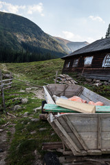 Wall Mural - Shepherds' house in the Ukrainian Carpathians