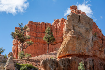 Wall Mural - Red Canyon