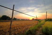 Sunset Landscape View Of Dry Wild Grass Field In Rural Area