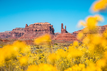 Wall Mural - valley of the gods, utah, usa