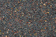 Canola seeds, rapeseed texture. Close-up. Background. Macro image of rapeseed can be used as a background. Harvested rapeseed from the field. Macro texture of seeds colza.