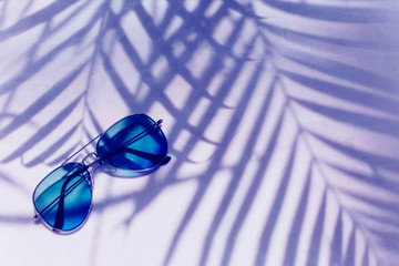 Stylish blue sunglasses on a tropical background with the shadow of palm leaves. Resort recreation concept, copy space, neon color.