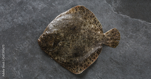 Raw whole flounder fish on dark stone background, top view Poster Mural XXL