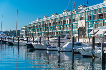 Yachts on mooring at sunny day. Woolloomooloo district in Sydney