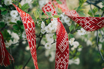 Wall Mural - Lielvardes belt in spring