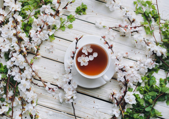 White cup of green tea and spring apricot blossom on a light grey wooden background. Rustic, top view.