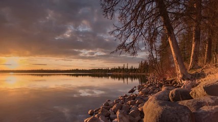 Wall Mural - time-lapse video of sunset, blue hour and stars reflecting in a northern lake with pine trees along 
