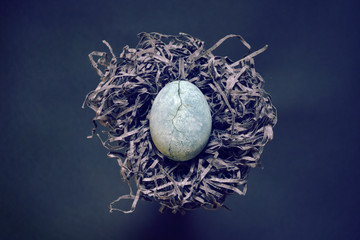 Blue egg with crack, painted in tea hibiscus, lies on paper similar to a nest of hay on blue background, with copyspace