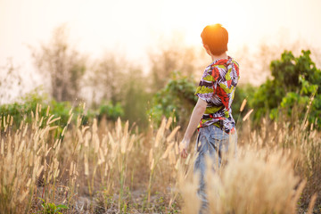 Rear Asian man in colorful shirt standing in grass flower field with warm light in the evening, Rear view of Asian man portrait in the field