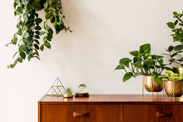 Sticker - Nice and retro space of home interior with  vintage cupboard with elegant gold accessories, a lot of plants in stylish pots. Cozy home decor. Minimalistic concept. Home garden. Copy space. Template