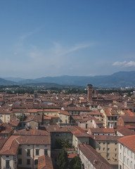 Wall Mural - Towers over houses of historic centre of Lucca, Italy