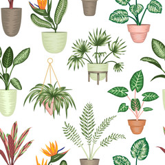 Wall Mural - Vector seamless pattern of tropical houseplants in pots isolated on white background. Bright realistic strelitzia, monstera, alocasia, dieffenbachia, cordyline. Repeat background for home decoration.