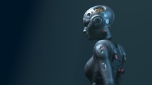 Robot Woman, Sci-fi Woman  Digital World Of The Future Of Neural Networks And The Artificial Intelligence 3d Render