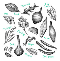 Wall Mural - ink sketch of cooking ingredients.