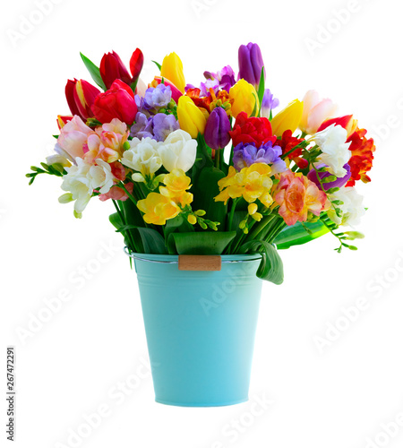 fresh tulips flowers