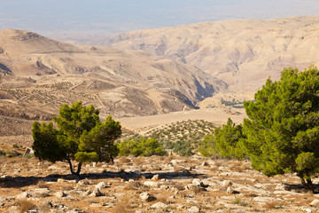 Panorámica del valle del río Jordan. Monte Nebo. Tierra Santa. Jordania, Oriente Medio